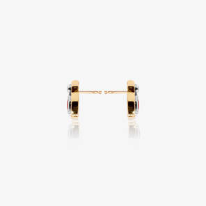 Colours of the Karun