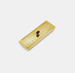 Karun Home Ruler® limited edition ruler with precious stones